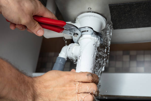 Best Flood damage cleanup  in Searingtown, NY