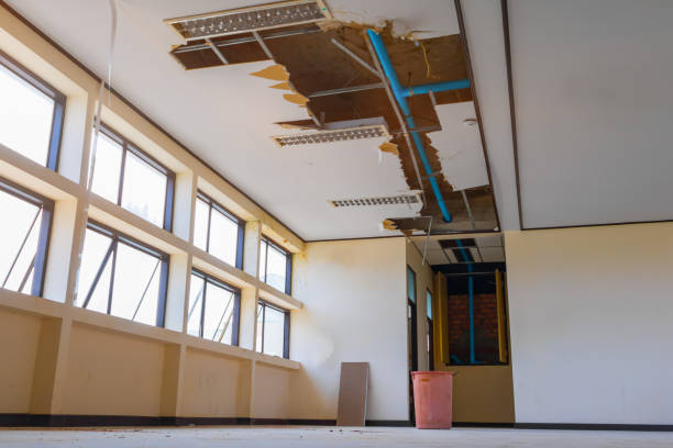 Best Water damage restoration near me  in Searingtown, NY