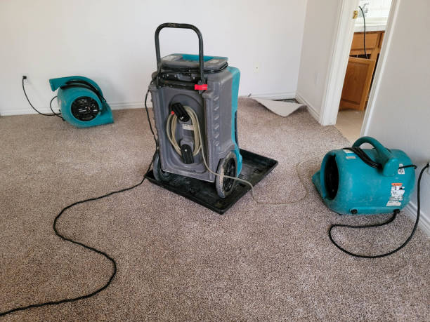 Best Basement water damage restoration  in Searingtown, NY