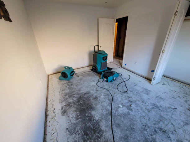  Searingtown, NY Water damage restoration Pros