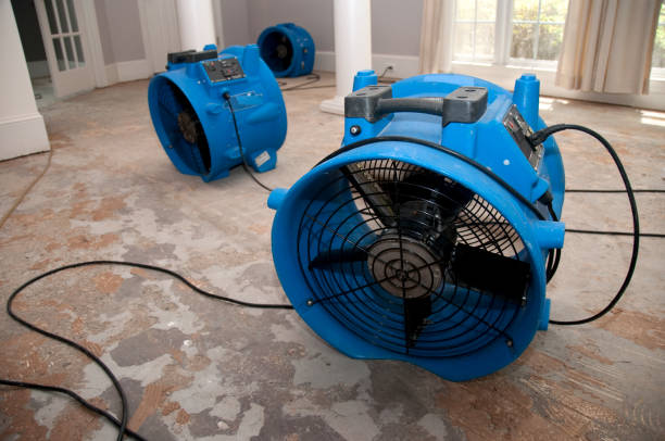 Best Water damage repair service  in Searingtown, NY