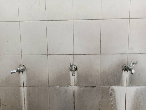Best Local water damage restoration  in Searingtown, NY