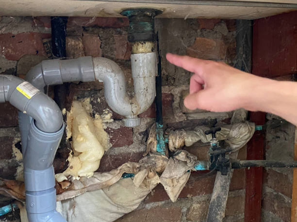Best Flooded house restoration  in Searingtown, NY
