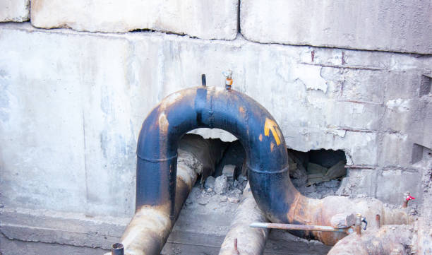 Best Flood restoration services  in Searingtown, NY