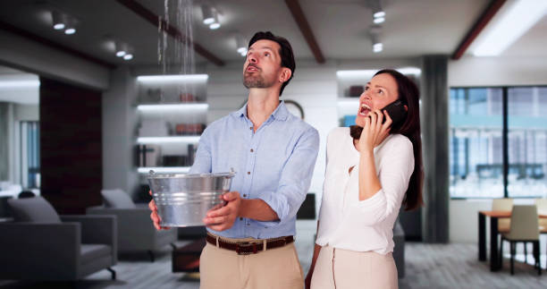 Best 24/7 water damage repair  in Searingtown, NY