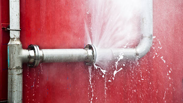 Best Emergency water extraction  in Searingtown, NY